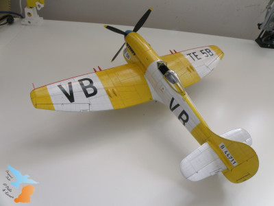 P9057885.JPG