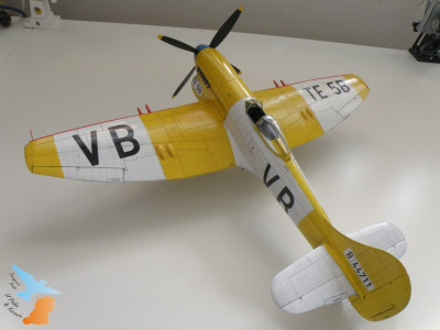 P9057886.JPG