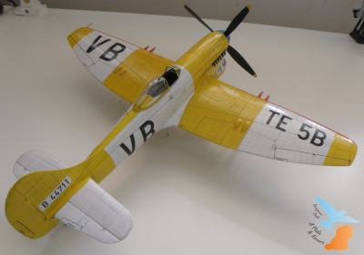 P9057891.JPG
