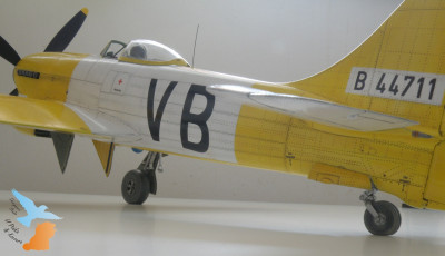 P9057894.JPG
