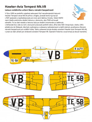 Tempest VBm.JPG