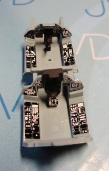 P1020135.JPG