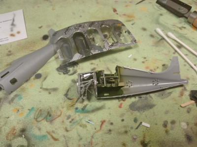 trubkoložový hadrváre.jpg