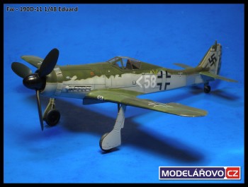 d11-21.jpg