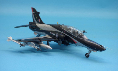 Hawk_100_mf05.JPG