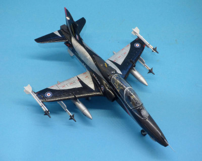 Hawk_100_mf06.JPG