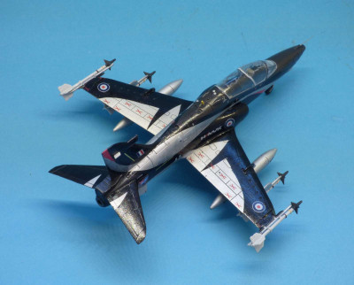 Hawk_100_mf07.JPG