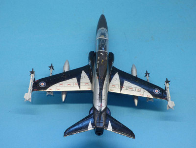 Hawk_100_mf09.JPG