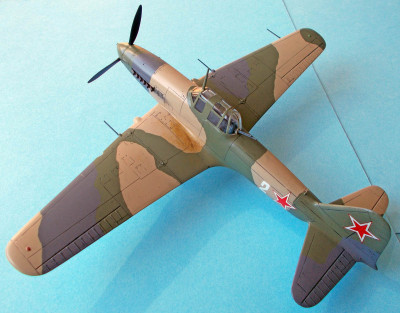 IL10_02.jpg