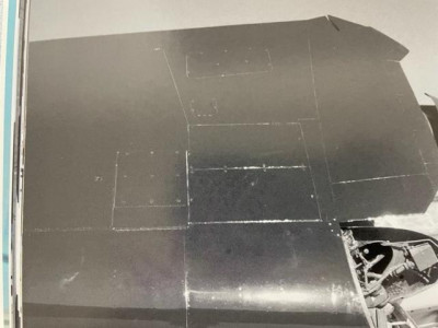 F6F c.jpg