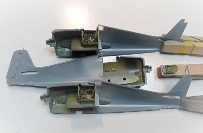 20220409_102051 2.jpg