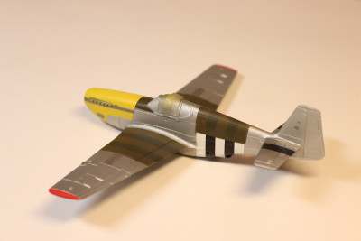 Mustangy_13.jpg