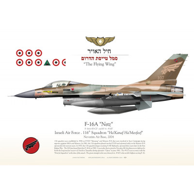 f-16a-netz-107-iaf-116-tayeset-jp-338.jpg