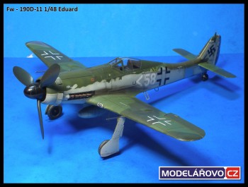 d11-22.jpg