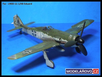 d11-23.jpg