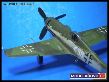 d11-25.jpg