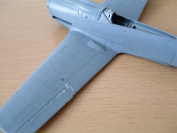 Dora 1 (Large).JPG