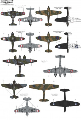 X72343_3.jpg