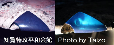 Zero wingtip light.jpg