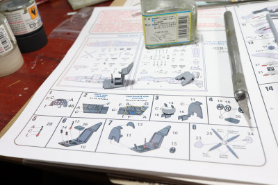 Buchon_3.jpg