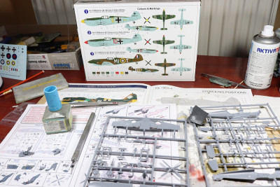Buchon_2.jpg