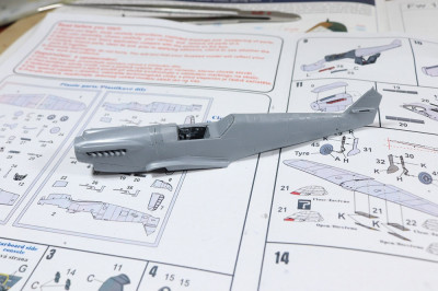 Buchon_5.jpg