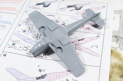 Buchon_8.jpg