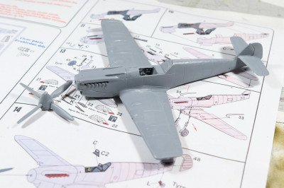 Buchon_7.jpg
