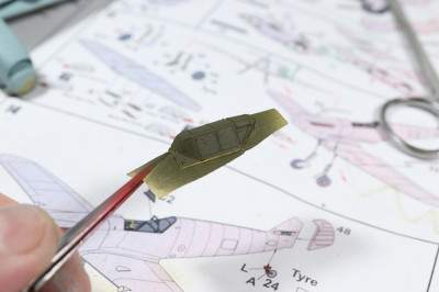 Buchon_13.jpg