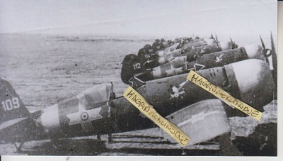 IAR-80A_109_01.jpg