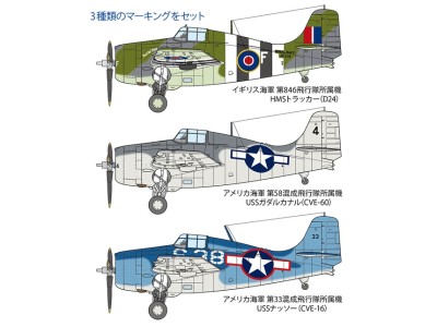 Wildcat_24.jpg