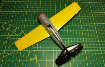 Wildcat_25.jpg