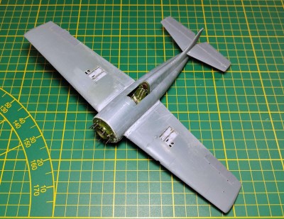 FM-1 Eduard