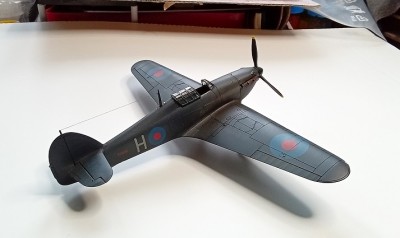 20240324_103652 30.jpg