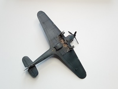 20240324_103512 30.jpg