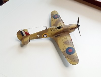 20240324_103754 30.jpg