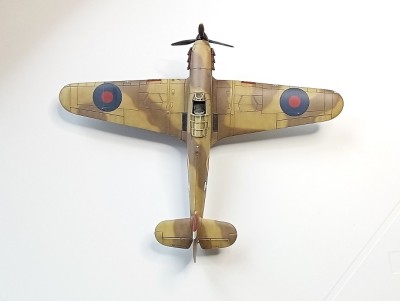 20240324_103802 30.jpg