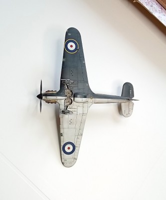 20240324_103829 30.jpg