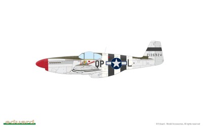 11181-06-F.jpg