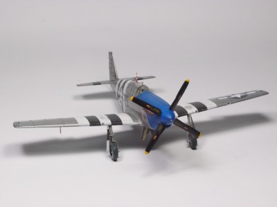 P5141387a.JPG