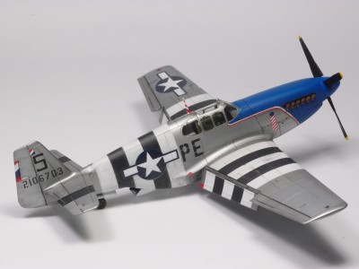 P5141390a.JPG