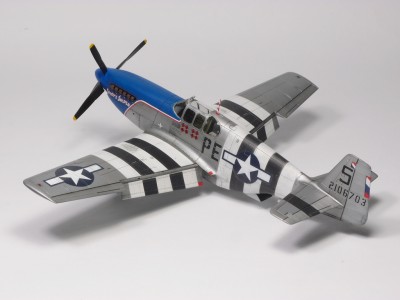 P5141393a.JPG