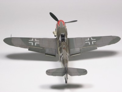 P5191404.JPG