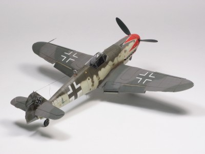 P5191405.JPG
