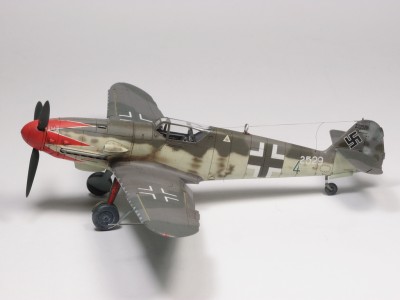 P5191410.JPG
