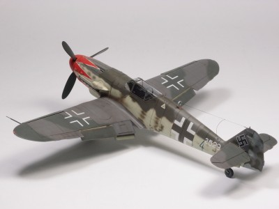 P5191411.JPG