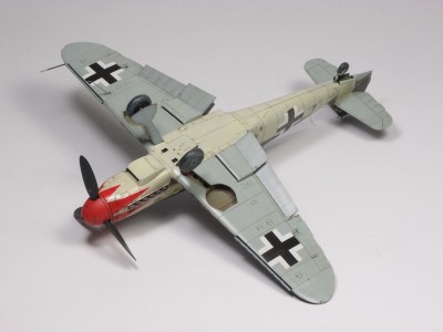 P5191414.JPG