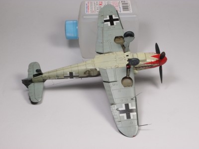 P5191416.JPG