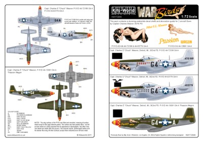 P-51D_Weaver_53650_f2.jpg