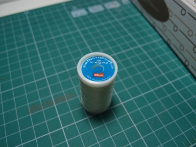 PB211570a.JPG